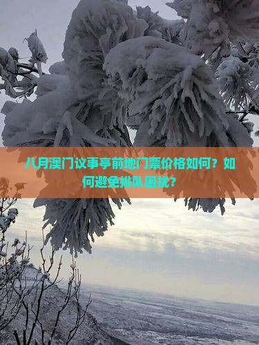 八月澳门议事亭前地门票价格如何？如何避免排队困扰？