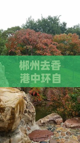 郴州去香港中环自由行：攻略与交通路线指南