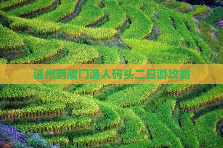 温州到澳门渔人码头二日游攻略