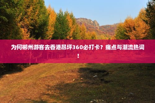 为何郴州游客去香港昂坪360必打卡？痛点与潮流热词！