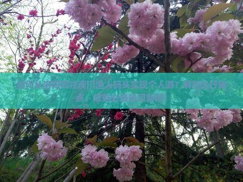 如何从洛阳前往澳门渔人码头实现个人游？解答出行痛点，攻略必备热词新词！