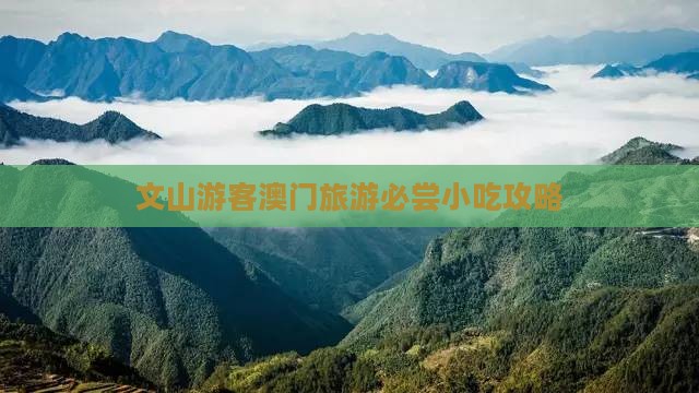 文山游客澳门旅游必尝小吃攻略