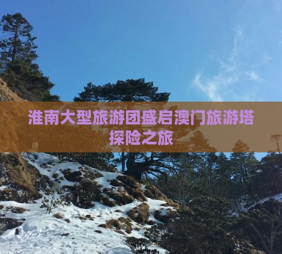 淮南大型旅游团盛启澳门旅游塔探险之旅