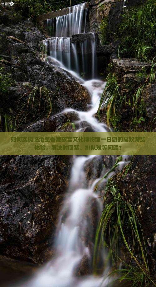 如何实现临沧至香港故宫文化博物馆一日游的高效游览体验，解决时间紧、排队难等问题？