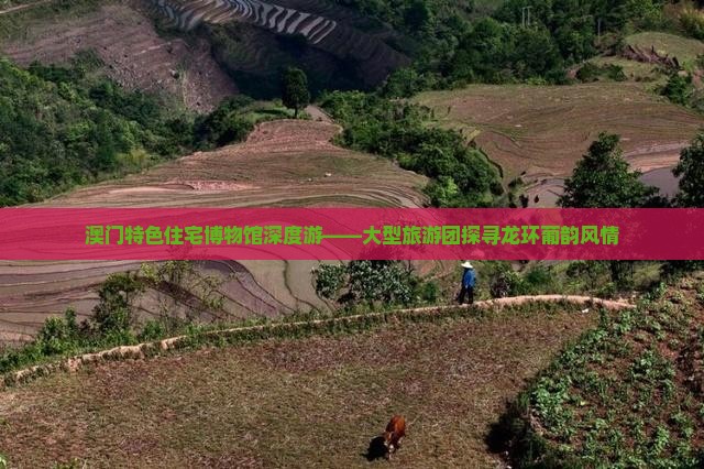 澳门特色住宅博物馆深度游——大型旅游团探寻龙环葡韵风情
