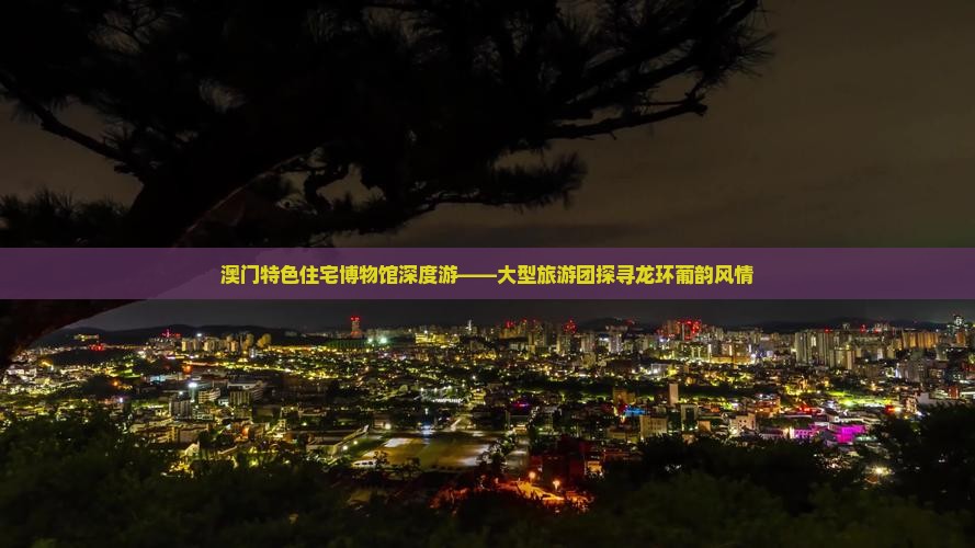 澳门特色住宅博物馆深度游——大型旅游团探寻龙环葡韵风情