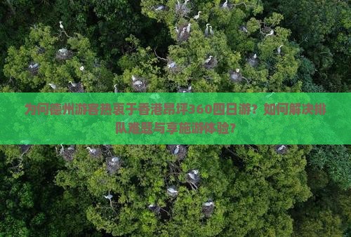 为何德州游客热衷于香港昂坪360四日游？如何解决排队难题与享施游体验？