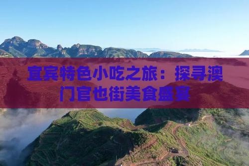 宜宾特色小吃之旅：探寻澳门官也街美食盛宴