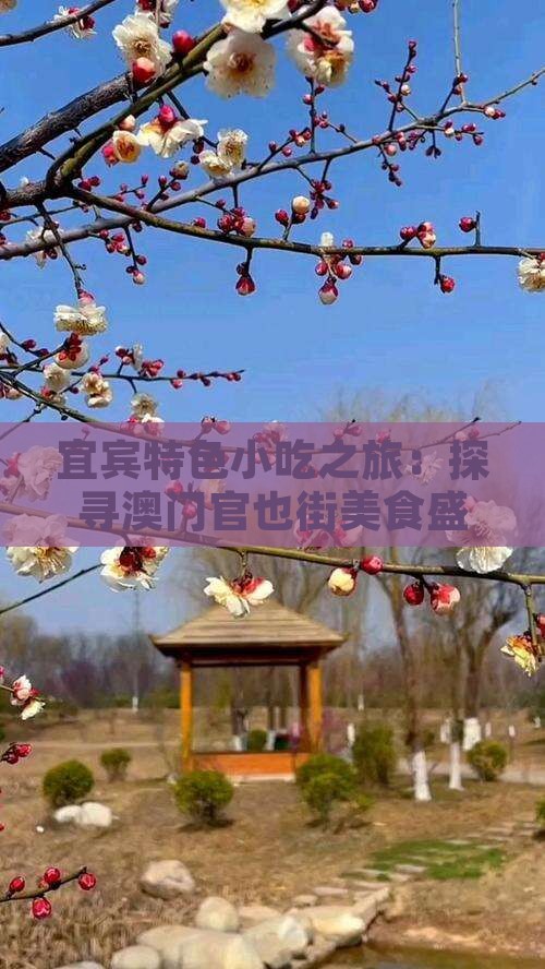 宜宾特色小吃之旅：探寻澳门官也街美食盛宴