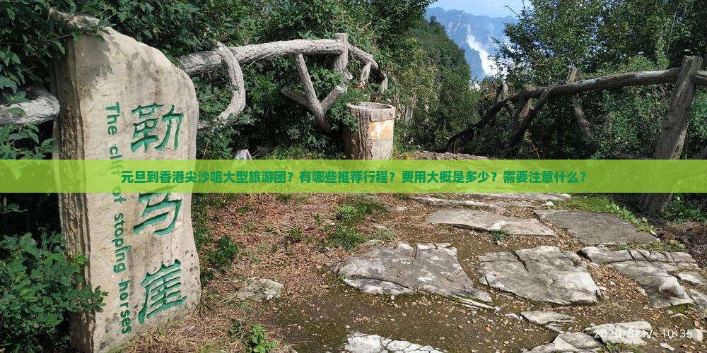 元旦到香港尖沙咀大型旅游团？有哪些推荐行程？费用大概是多少？需要注意什么？