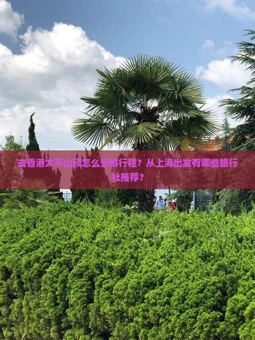 去香港太平山顶怎么安排行程？从上海出发有哪些旅行社推荐？