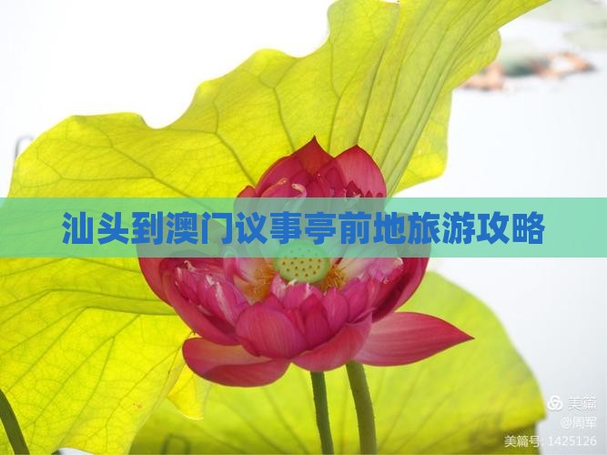 汕头到澳门议事亭前地旅游攻略