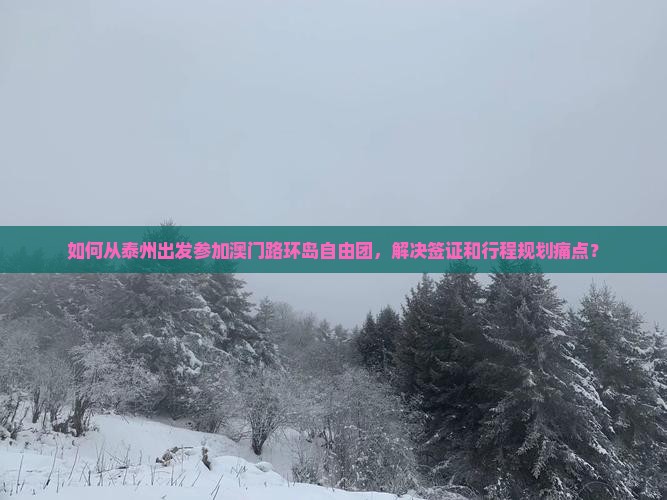 如何从泰州出发参加澳门路环岛自由团，解决签证和行程规划痛点？