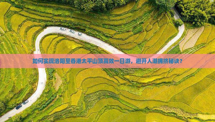 如何实现洛阳至香港太平山顶高效一日游，避开人潮拥挤秘诀？