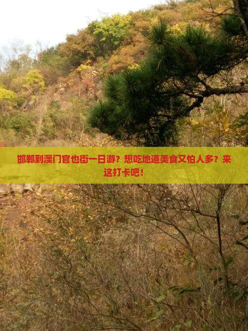 邯郸到澳门官也街一日游？想吃地道美食又怕人多？来这打卡吧！