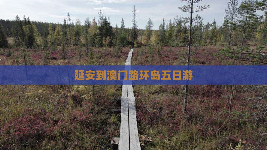 延安到澳门路环岛五日游