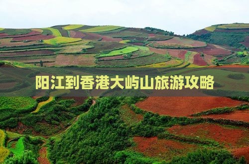 阳江到香港大屿山旅游攻略