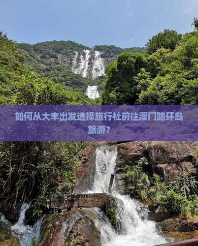 如何从大丰出发选择旅行社前往澳门路环岛旅游？