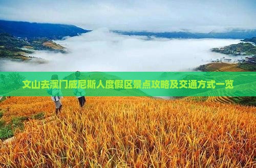 文山去澳门威尼斯人度假区景点攻略及交通方式一览