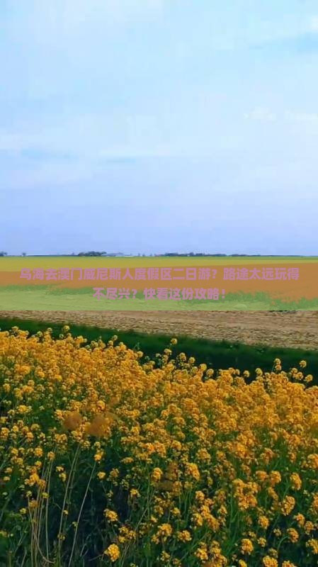 乌海去澳门威尼斯人度假区二日游？路途太远玩得不尽兴？快看这份攻略！