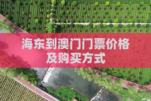 海东到澳门门票价格及购买方式