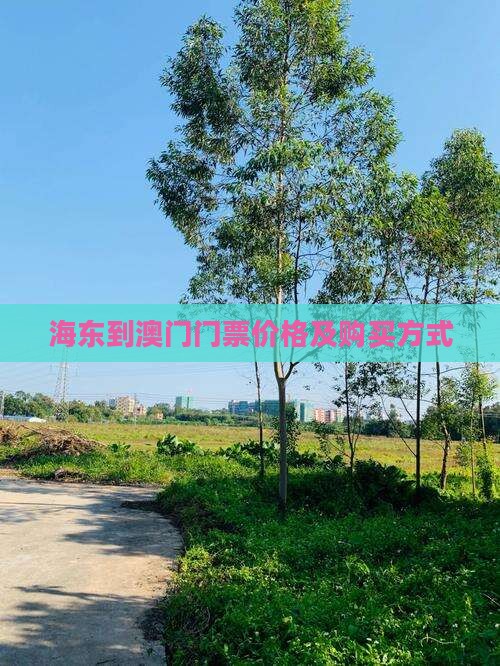 海东到澳门门票价格及购买方式
