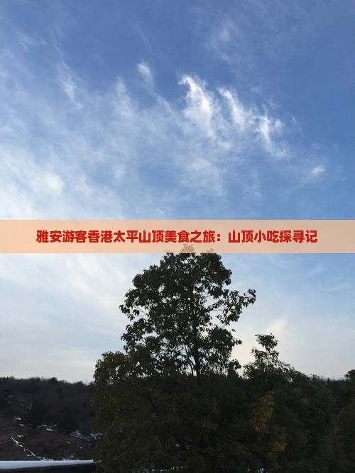 雅安游客香港太平山顶美食之旅：山顶小吃探寻记