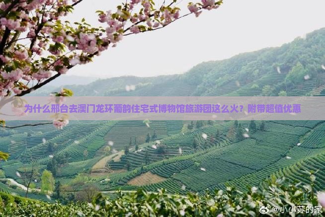 为什么邢台去澳门龙环葡韵住宅式博物馆旅游团这么火？附带超值优惠