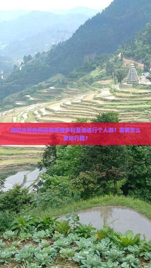 如何从百色前往香港维多利亚港进行个人游？需要怎么安排行程？