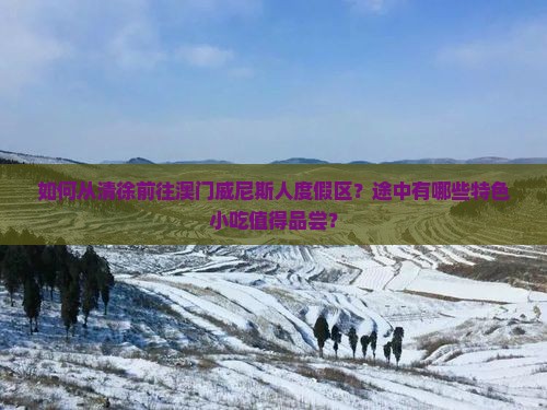 如何从清徐前往澳门威尼斯人度假区？途中有哪些特色小吃值得品尝？