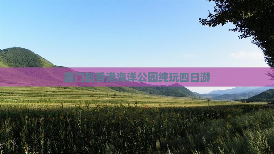 厦门到香港海洋公园纯玩四日游