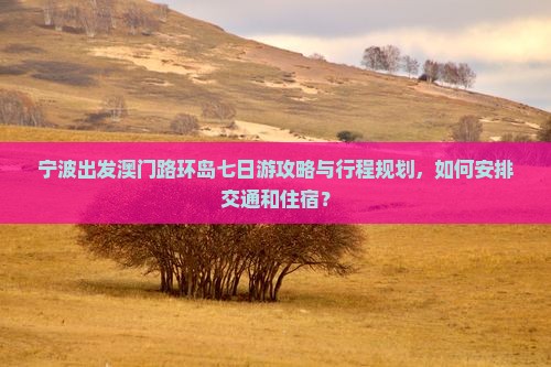 宁波出发澳门路环岛七日游攻略与行程规划，如何安排交通和住宿？