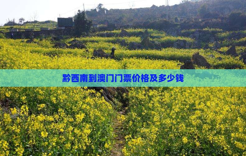 黔西南到澳门门票价格及多少钱