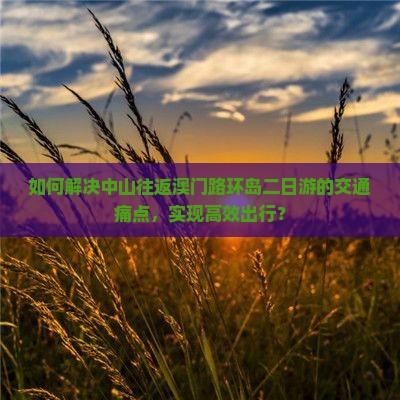 如何解决中山往返澳门路环岛二日游的交通痛点，实现高效出行？
