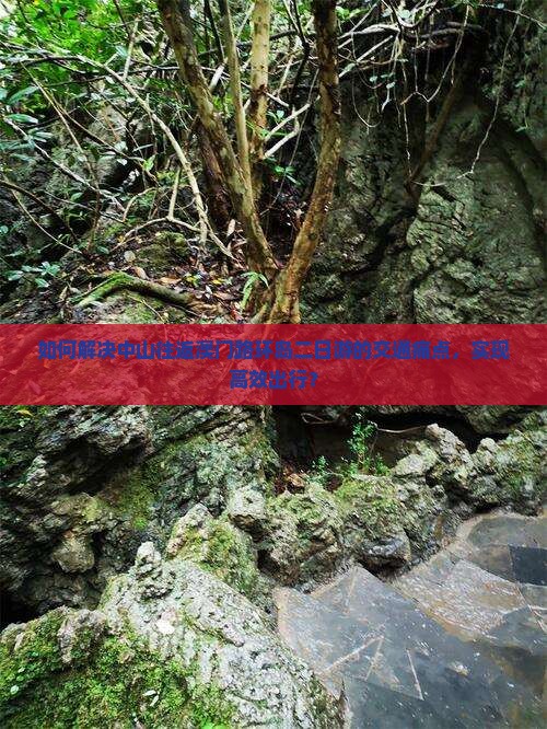 如何解决中山往返澳门路环岛二日游的交通痛点，实现高效出行？