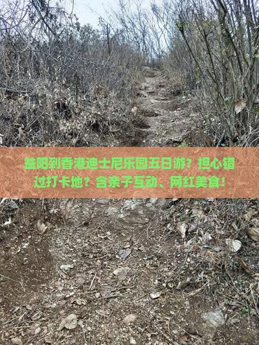 益阳到香港迪士尼乐园五日游？担心错过打卡地？含亲子互动、网红美食！