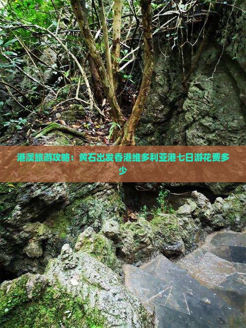 港澳旅游攻略：黄石出发香港维多利亚港七日游花费多少