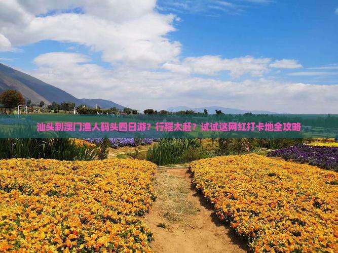 汕头到澳门渔人码头四日游？行程太赶？试试这网红打卡地全攻略