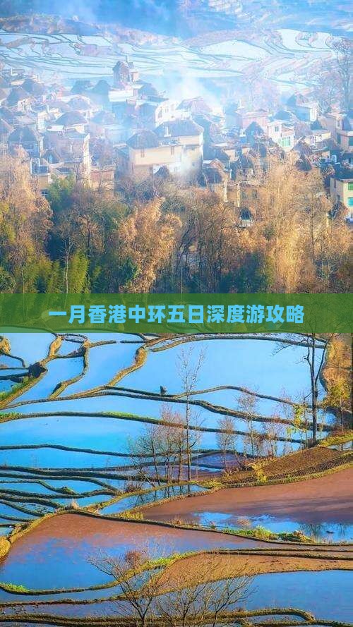 一月香港中环五日深度游攻略
