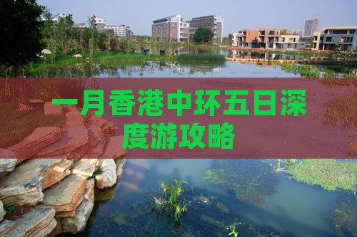 一月香港中环五日深度游攻略