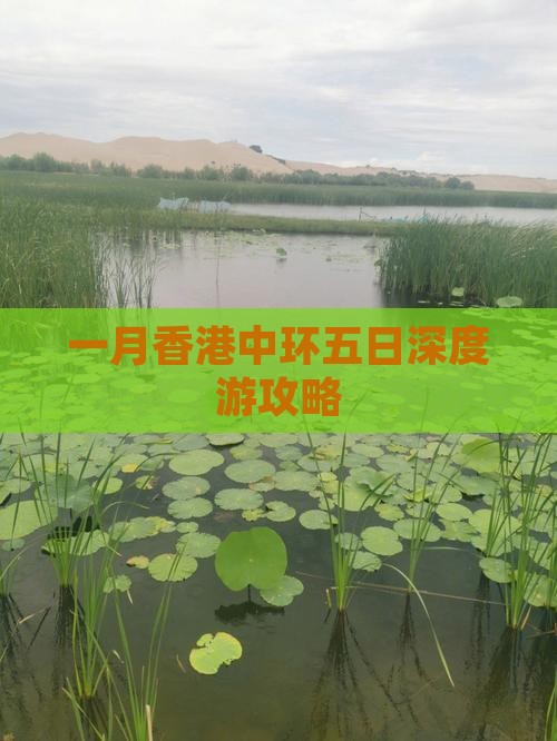 一月香港中环五日深度游攻略