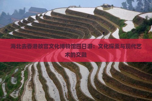 海北去香港故宫文化博物馆四日游：文化探索与现代艺术的交融