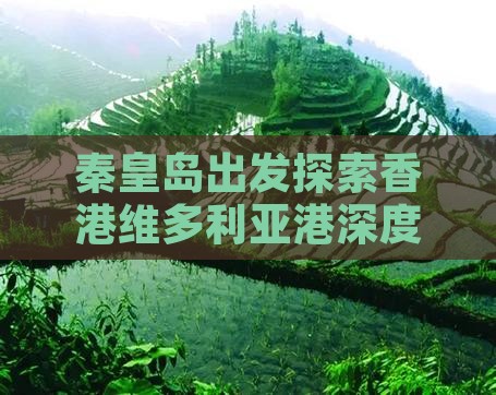 秦皇岛出发探索香港维多利亚港深度游攻略