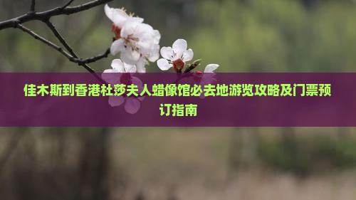 佳木斯到香港杜莎夫人蜡像馆必去地游览攻略及门票预订指南
