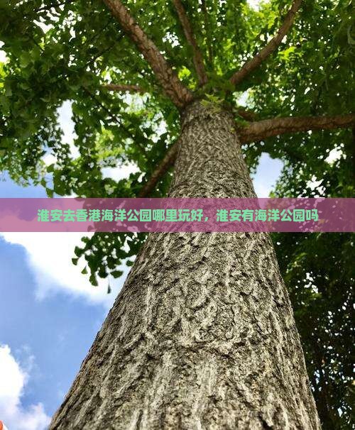 淮安去香港海洋公园哪里玩好，淮安有海洋公园吗