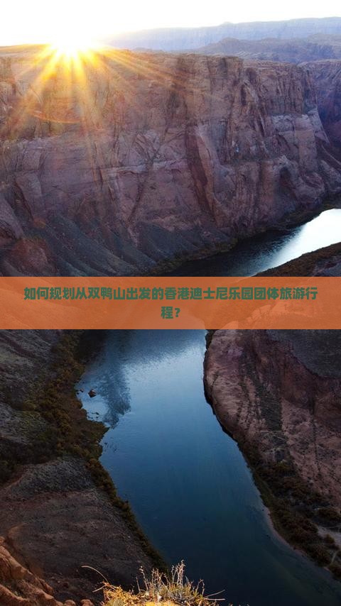 如何规划从双鸭山出发的香港迪士尼乐园团体旅游行程？