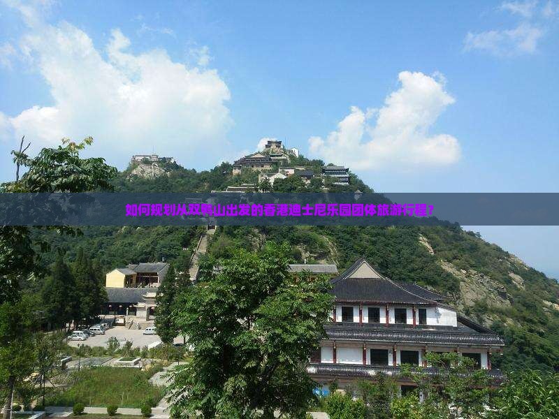 如何规划从双鸭山出发的香港迪士尼乐园团体旅游行程？