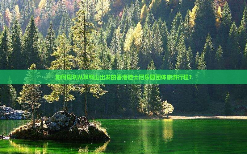 如何规划从双鸭山出发的香港迪士尼乐园团体旅游行程？