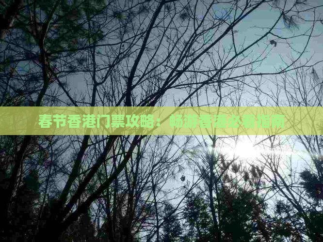 春节香港门票攻略：畅游香港必看指南