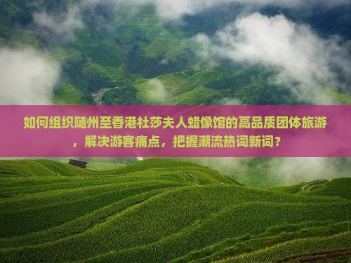 如何组织随州至香港杜莎夫人蜡像馆的高品质团体旅游，解决游客痛点，把握潮流热词新词？